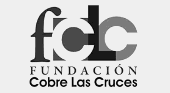 Fundación Cobre Las Cruces